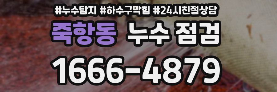 죽항동 누수 점검