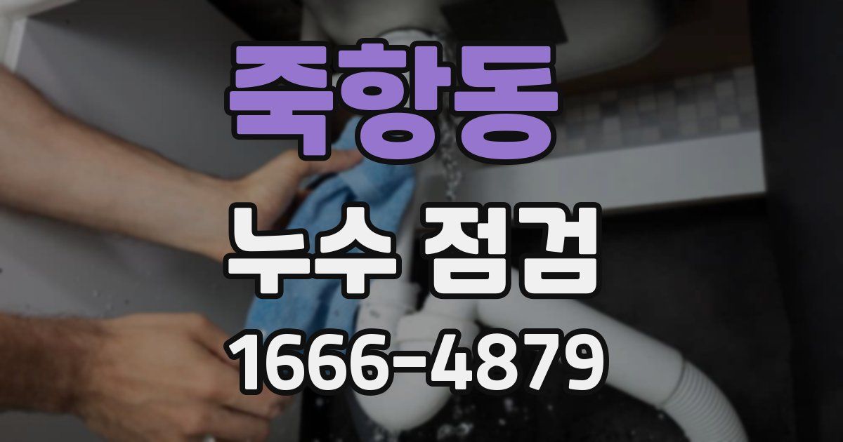 죽항동 누수 점검