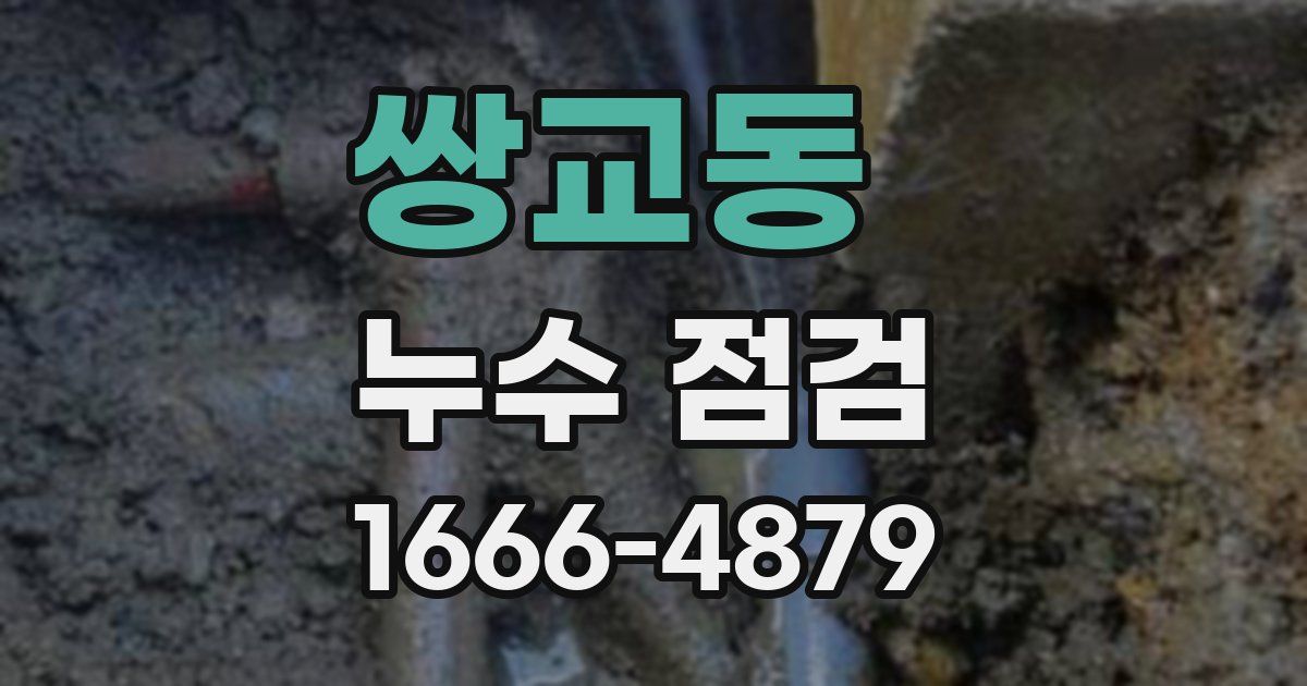 쌍교동 누수 점검