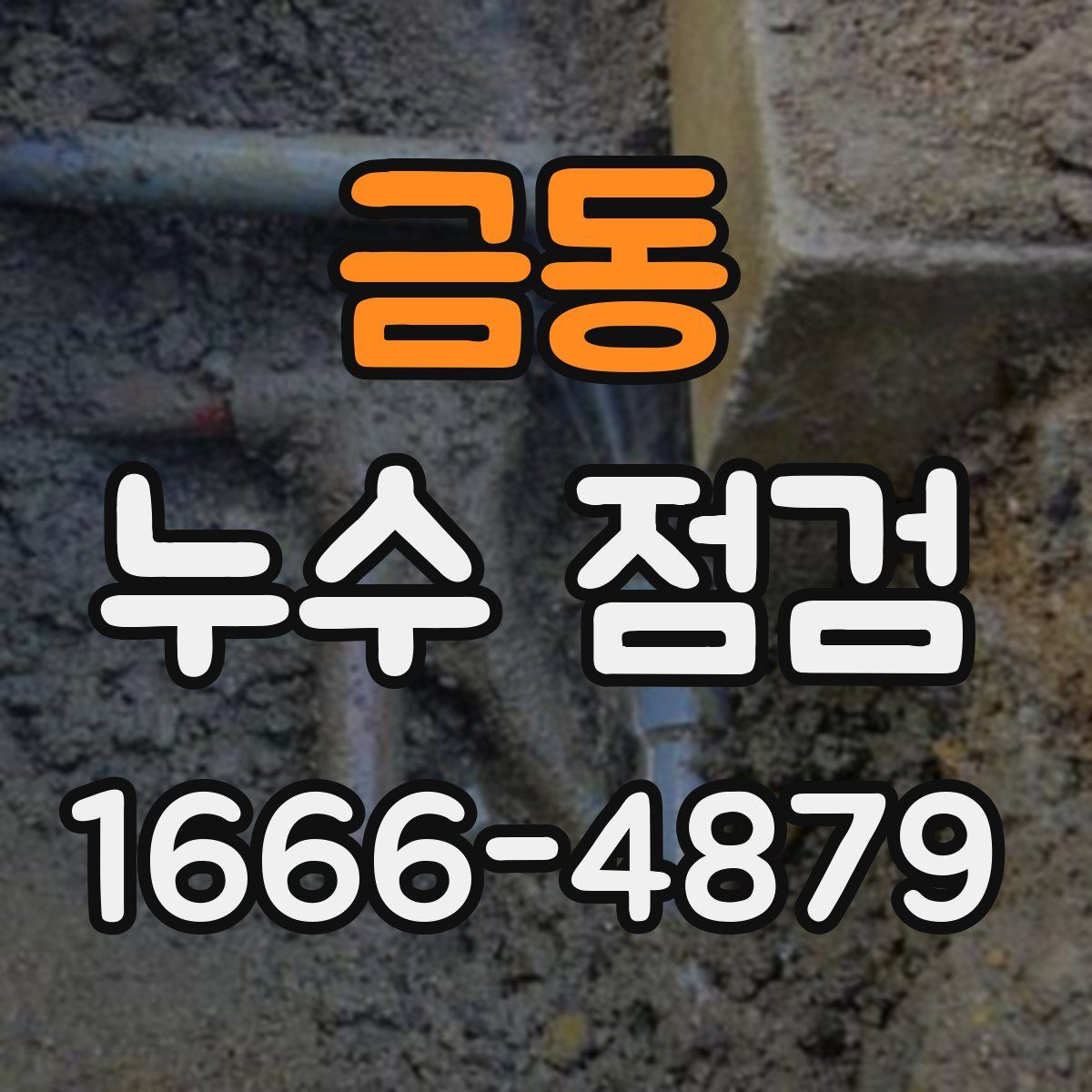 금동 누수 점검