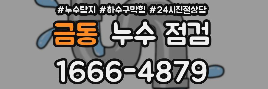 금동 누수 점검