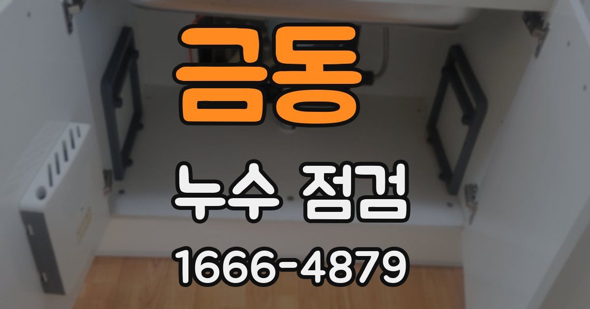 금동 누수 점검