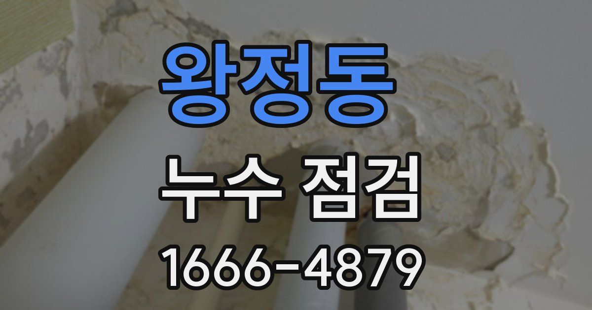왕정동 누수 점검