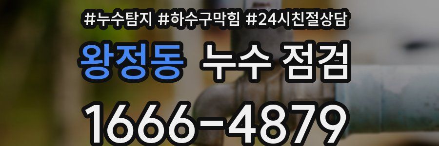 왕정동 누수 점검