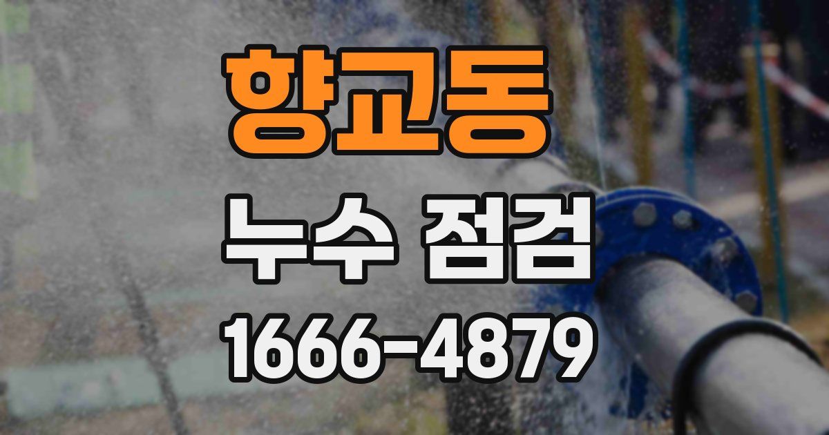 향교동 누수 점검