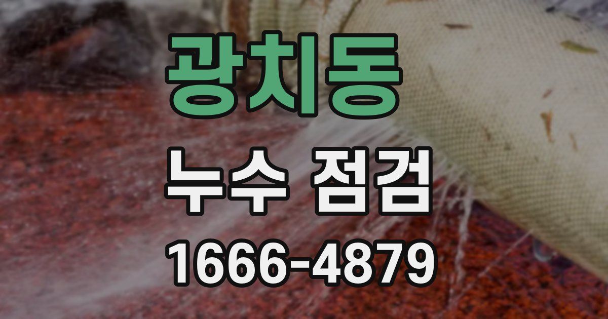 광치동 누수 점검