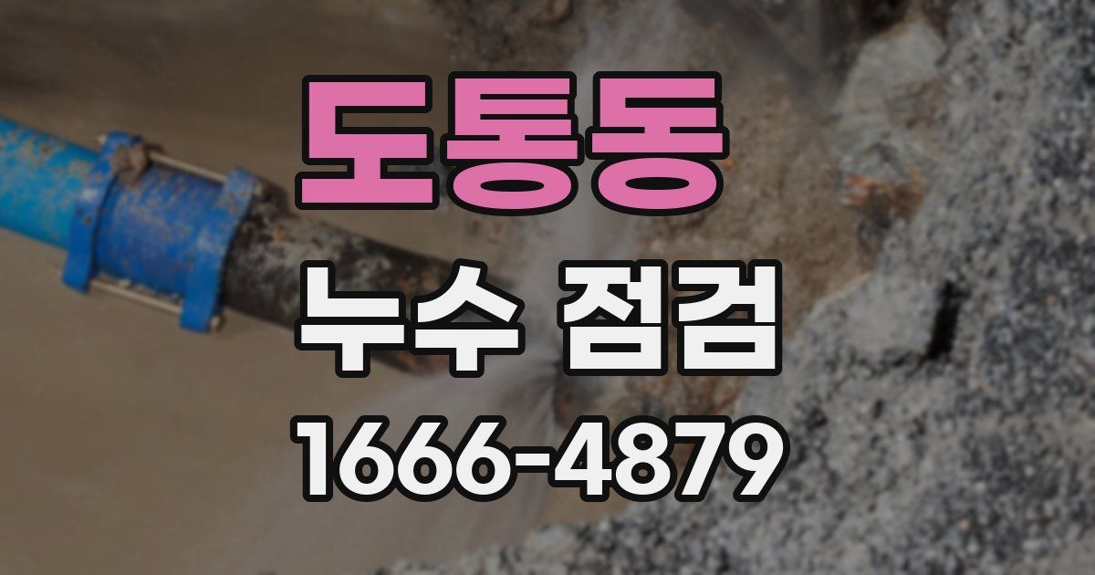 도통동 누수 점검