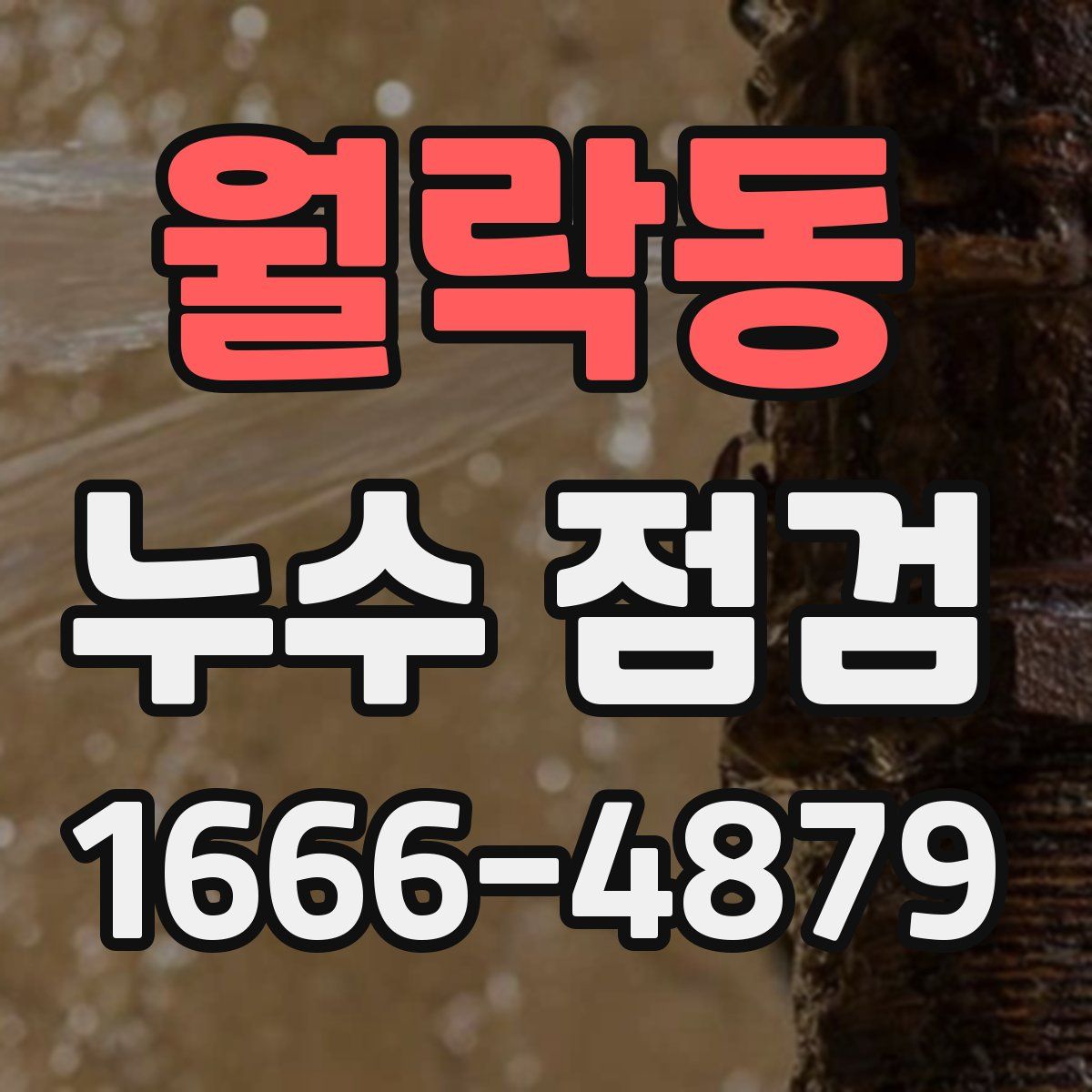 월락동 누수 점검