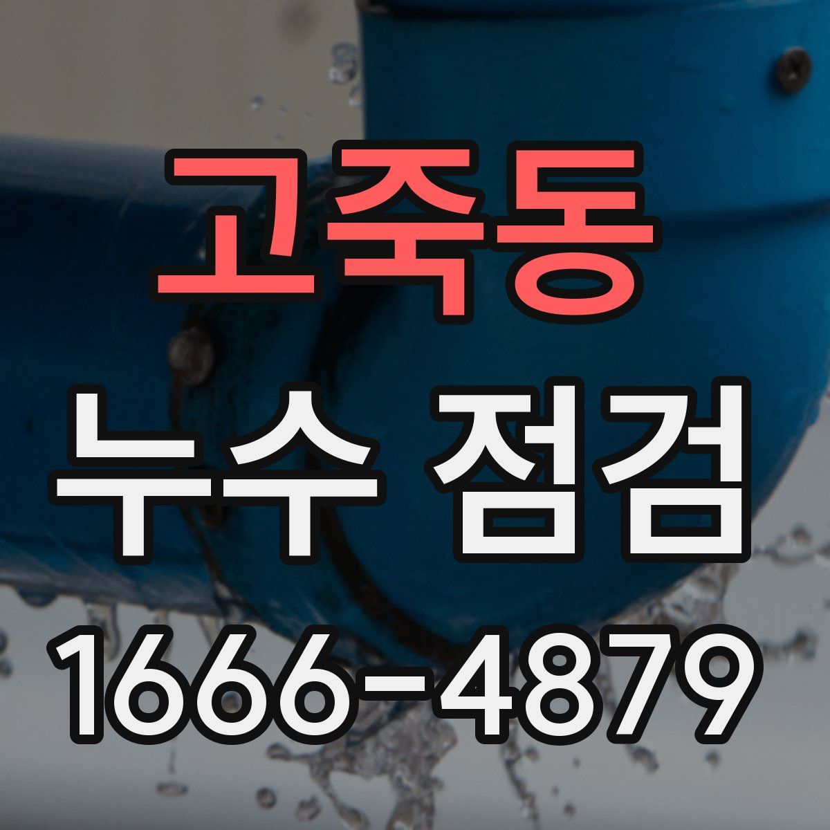 고죽동 누수 점검