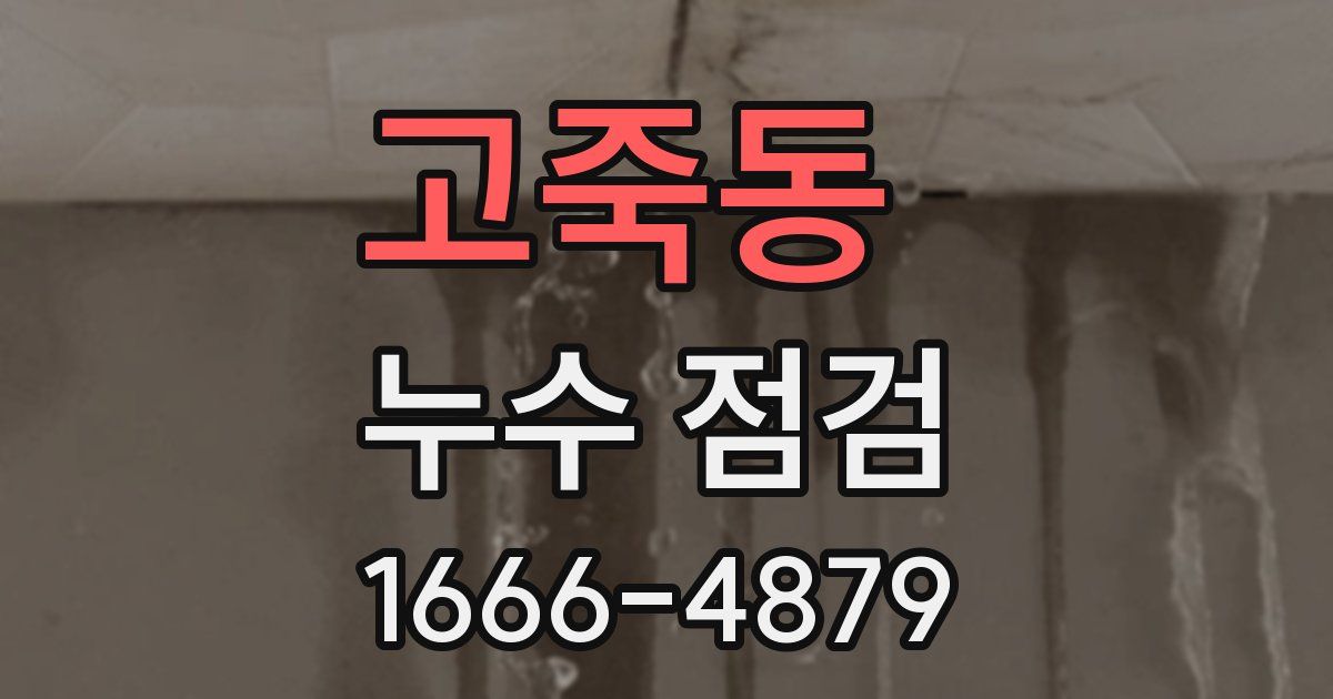 고죽동 누수 점검