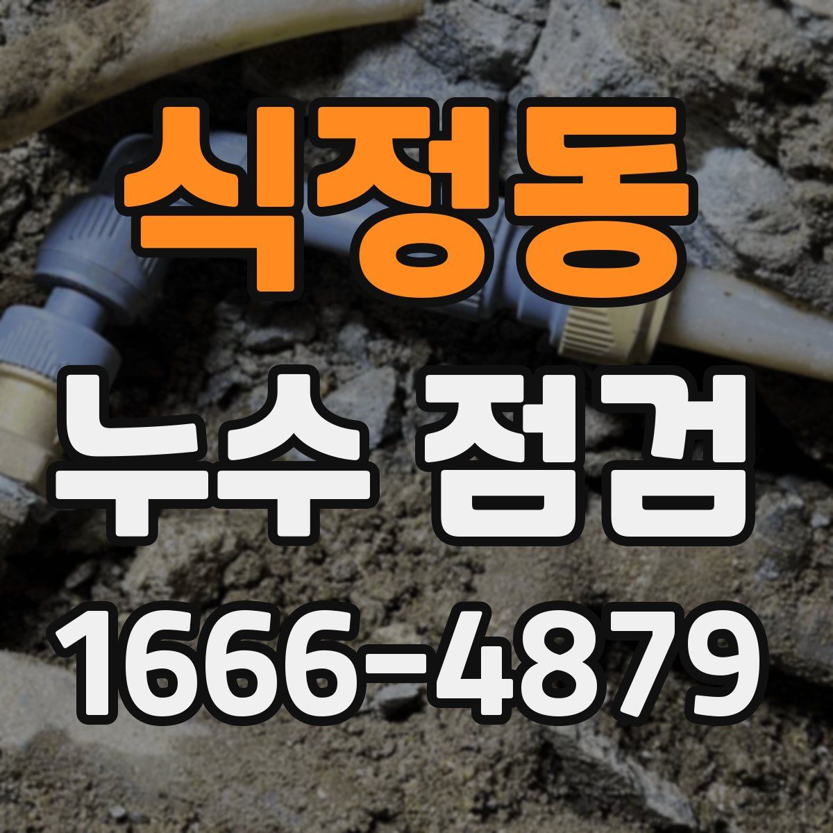 식정동 누수 점검