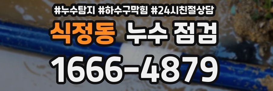 식정동 누수 점검