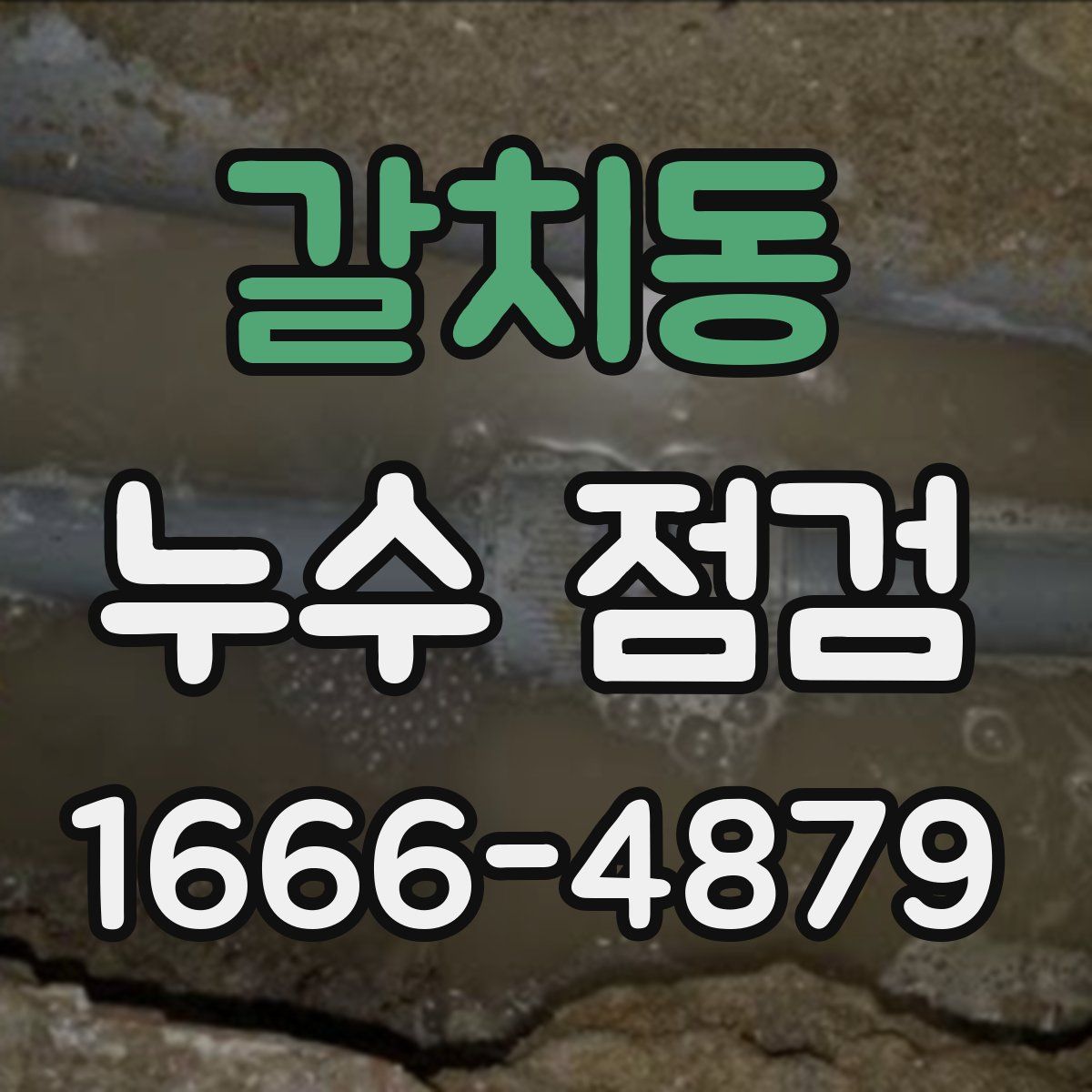 갈치동 누수 점검