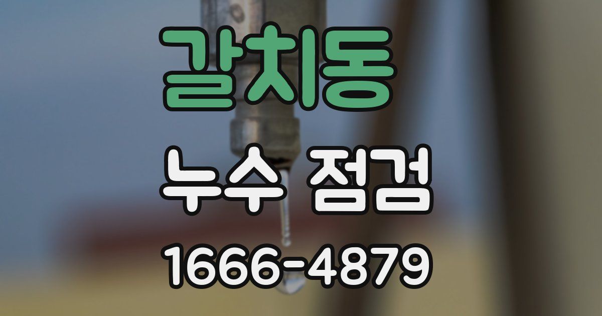 갈치동 누수 점검