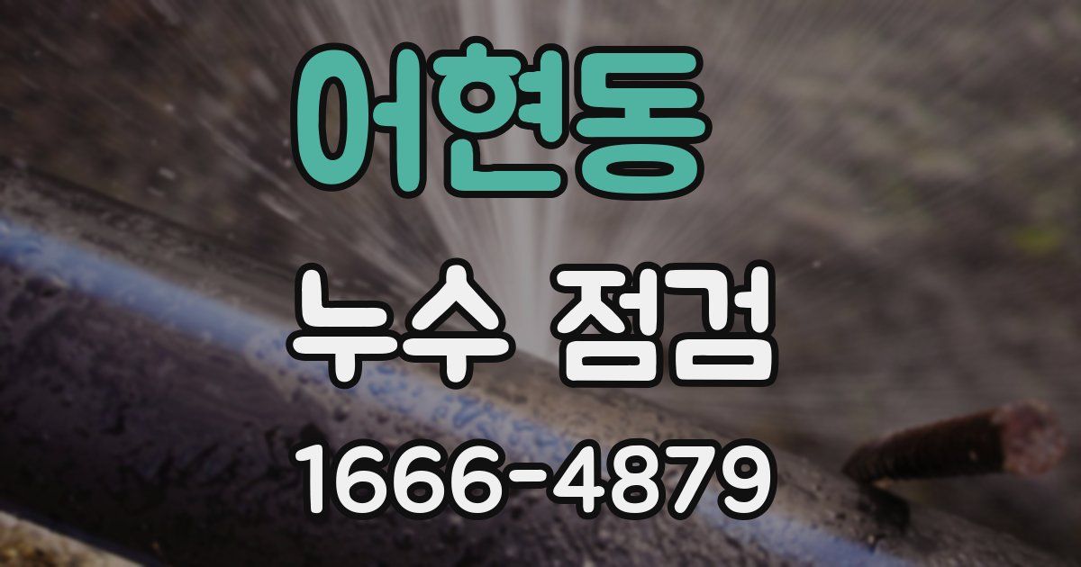 어현동 누수 점검