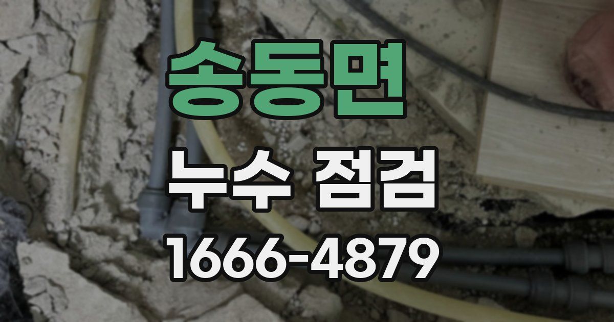 송동면 누수 점검