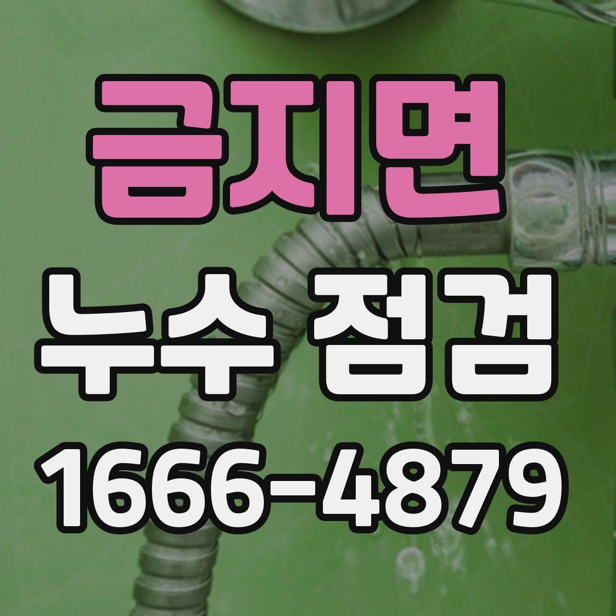 금지면 누수 점검