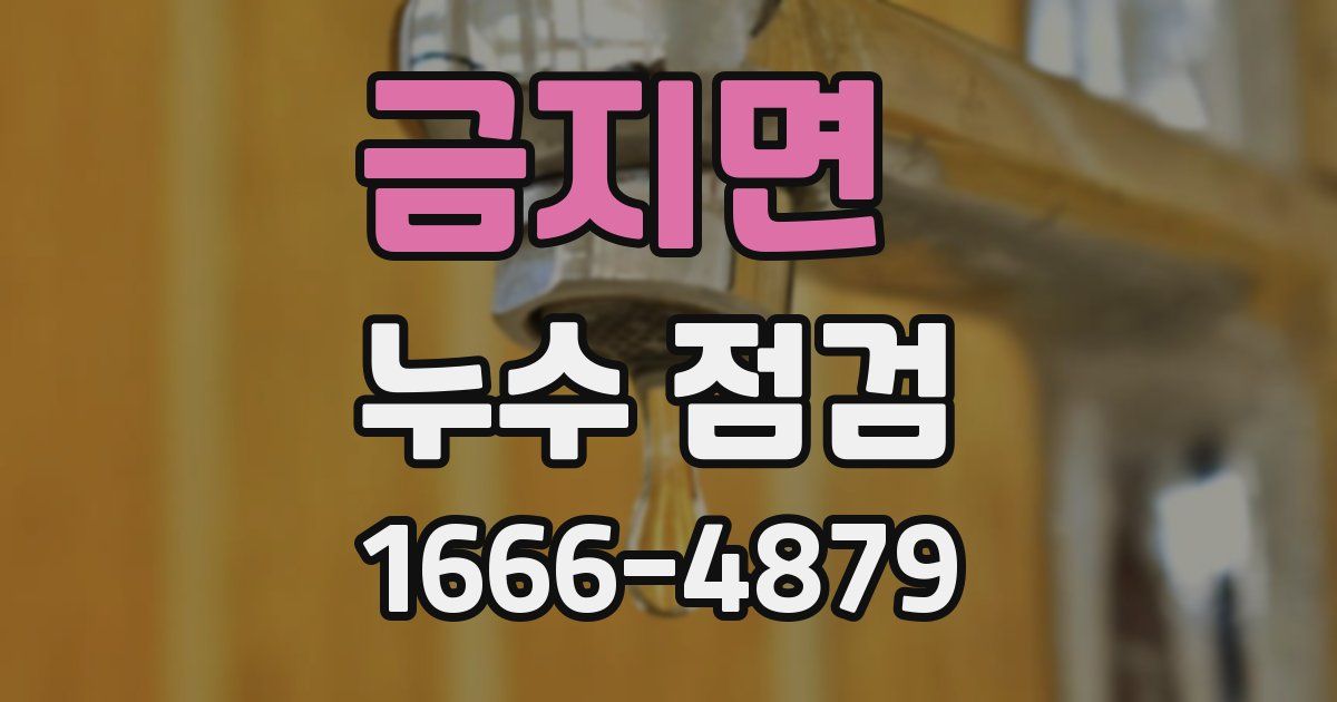 금지면 누수 점검