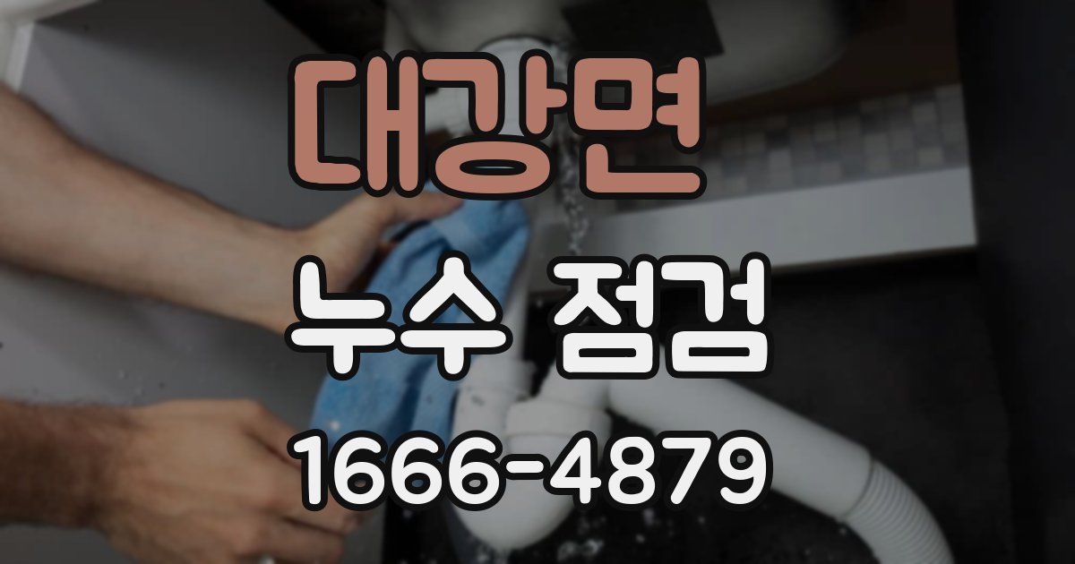 대강면 누수 점검
