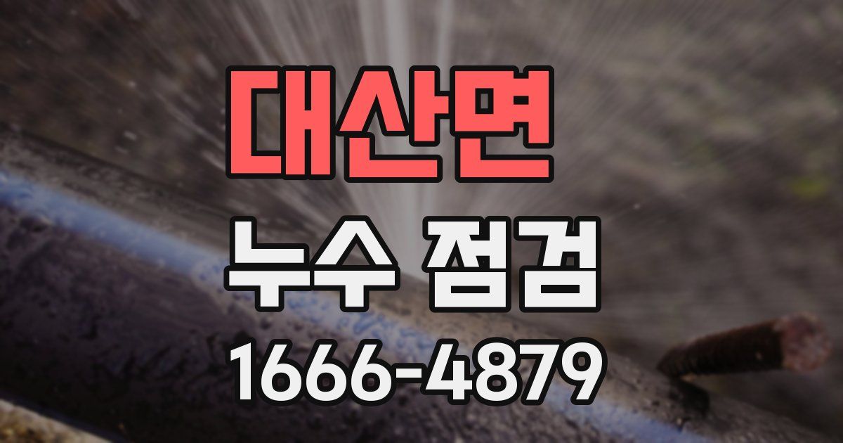 대산면 누수 점검