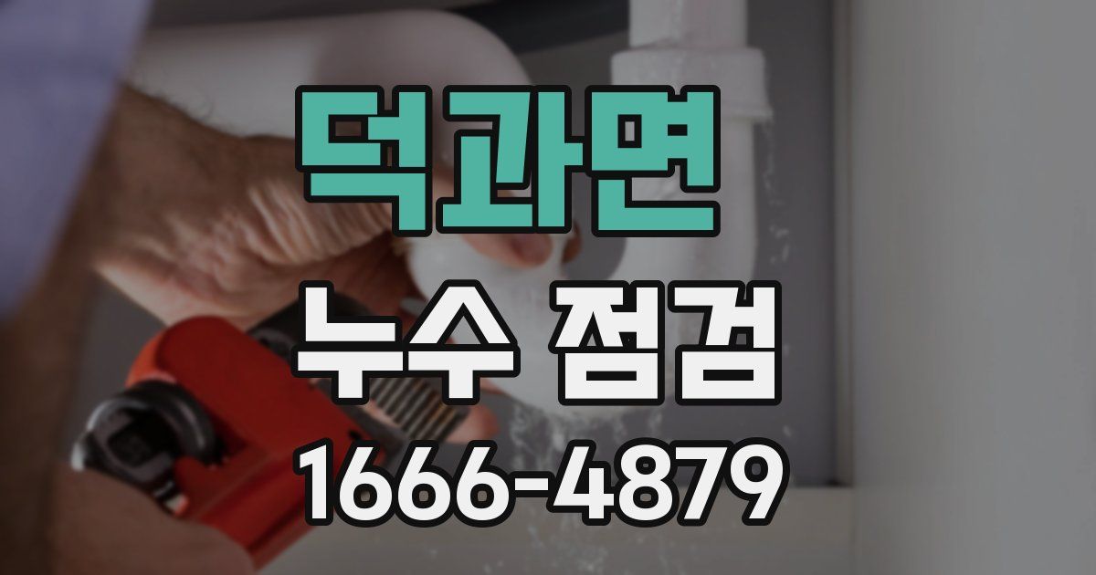 덕과면 누수 점검