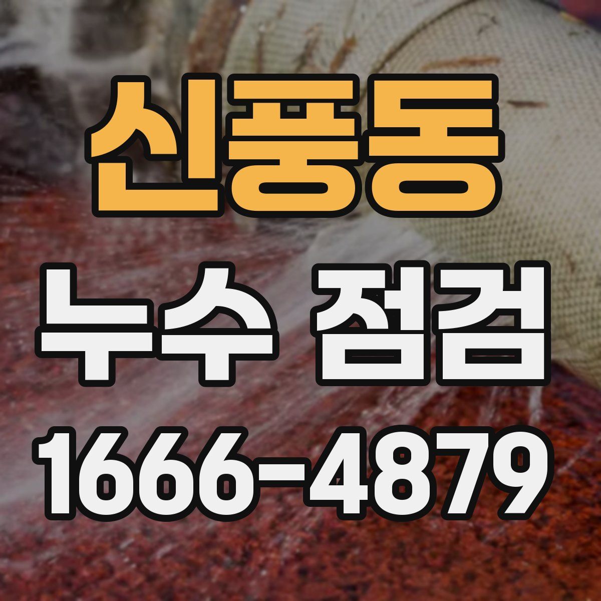 신풍동 누수 점검