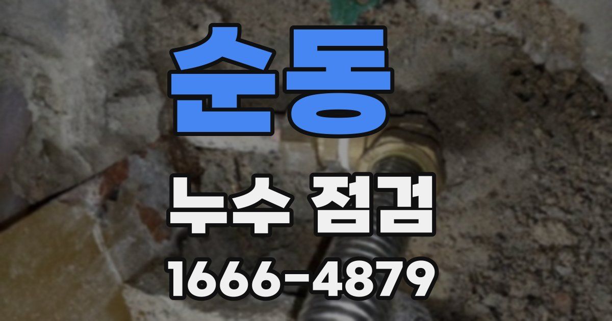 순동 누수 점검