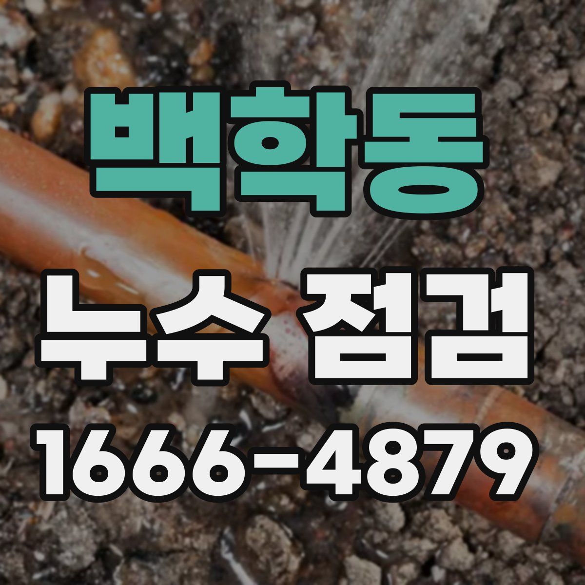 백학동 누수 점검