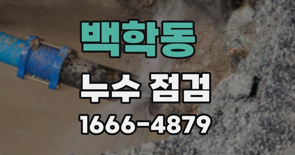 백학동 누수 점검