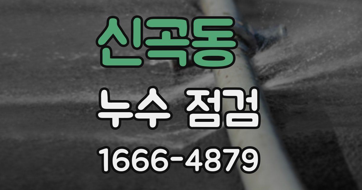 신곡동 누수 점검