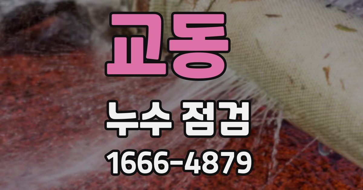 교동 누수 점검
