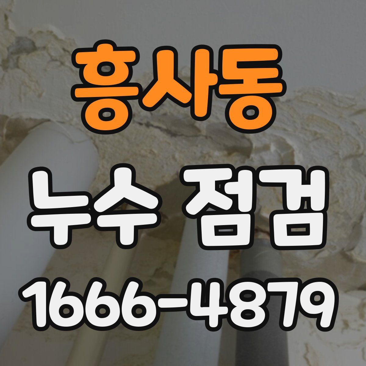흥사동 누수 점검