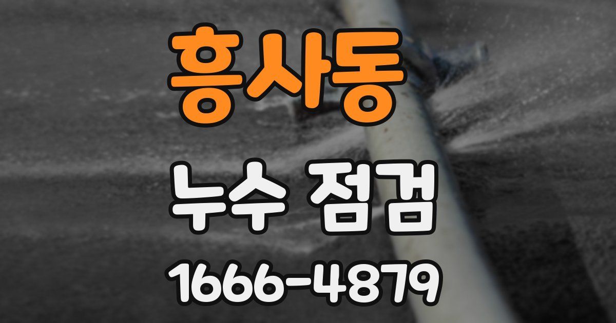 흥사동 누수 점검