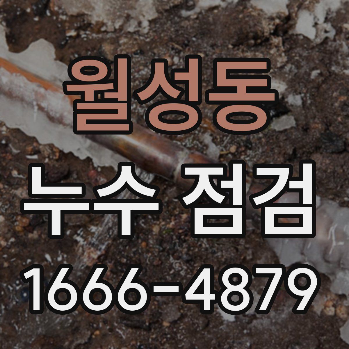 월성동 누수 점검