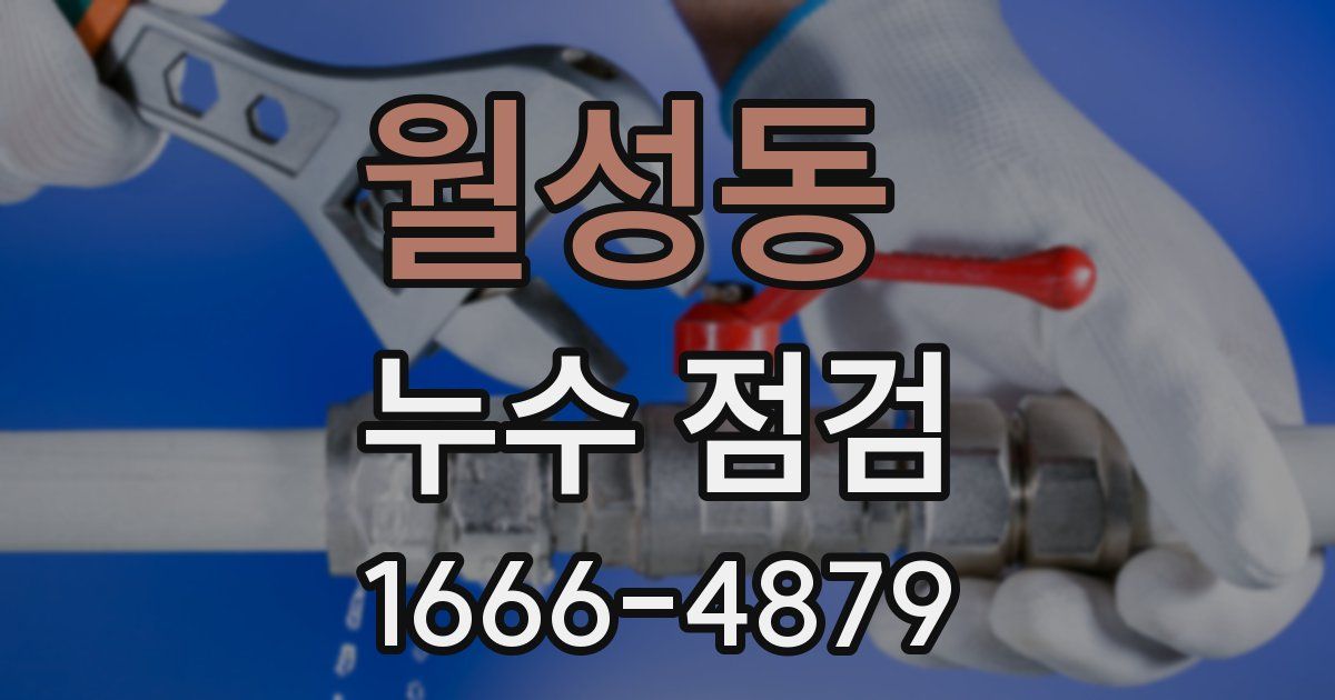 월성동 누수 점검