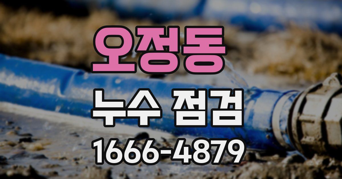 오정동 누수 점검