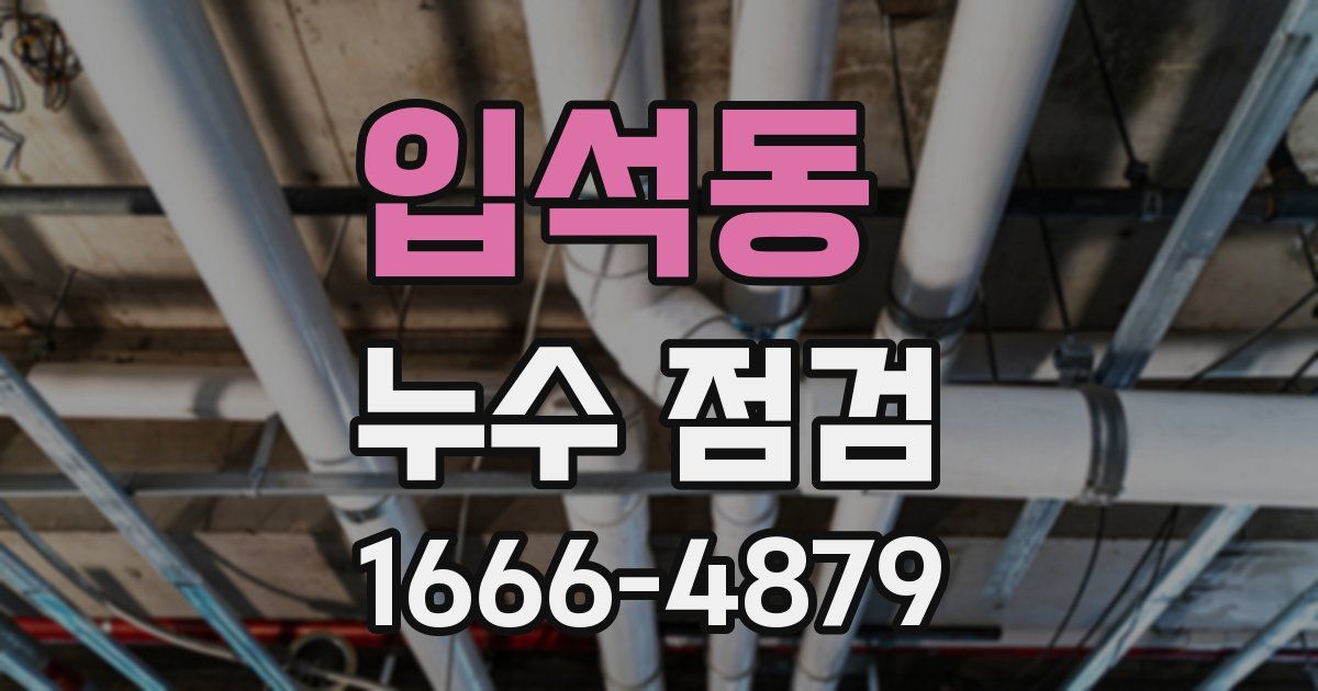 입석동 누수 점검
