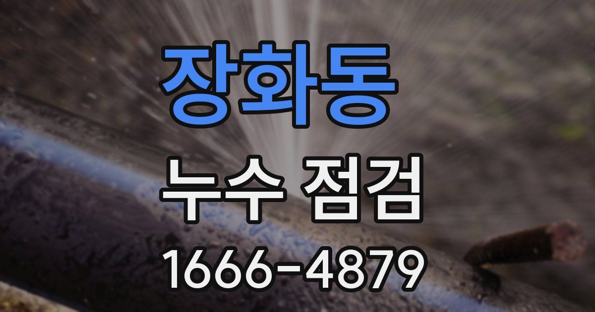 장화동 누수 점검