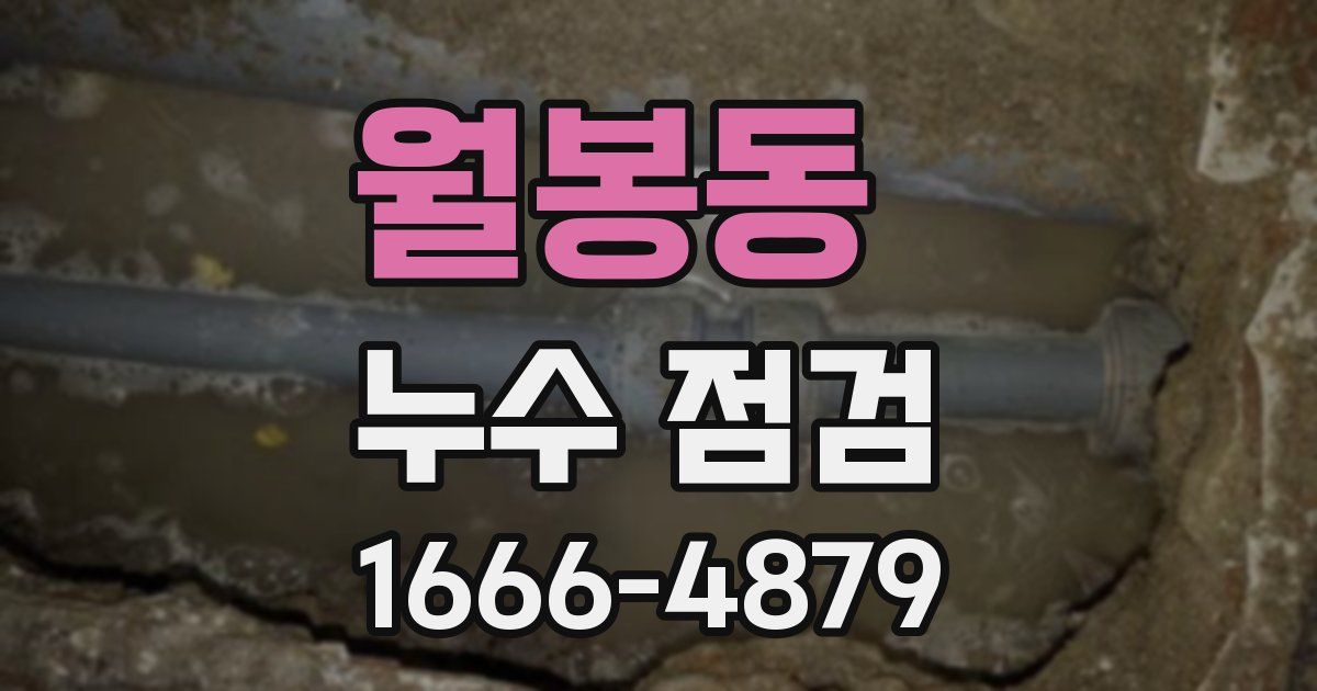 월봉동 누수 점검