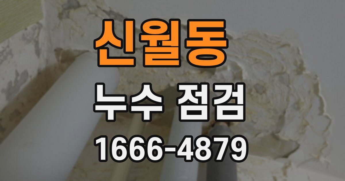신월동 누수 점검