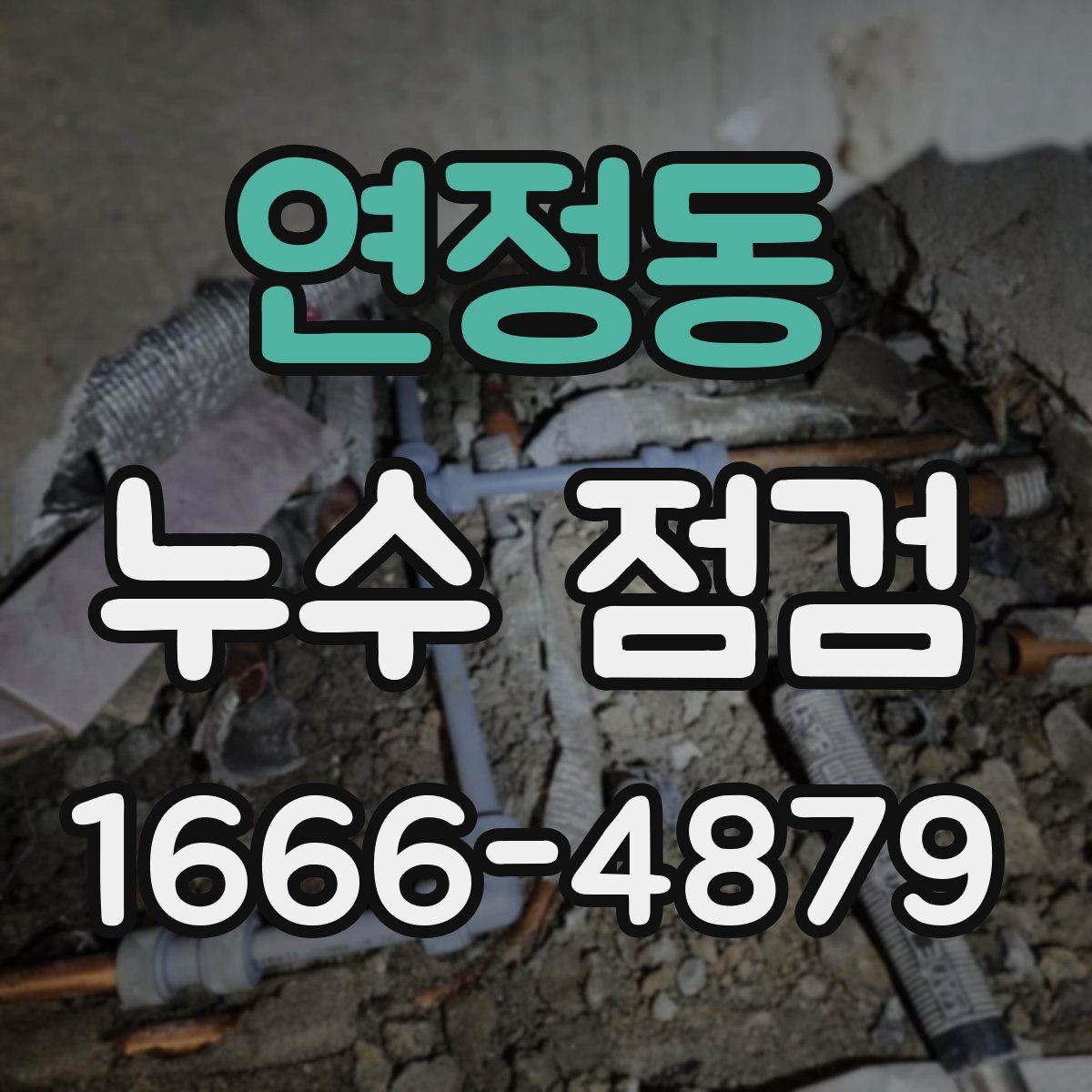 연정동 누수 점검