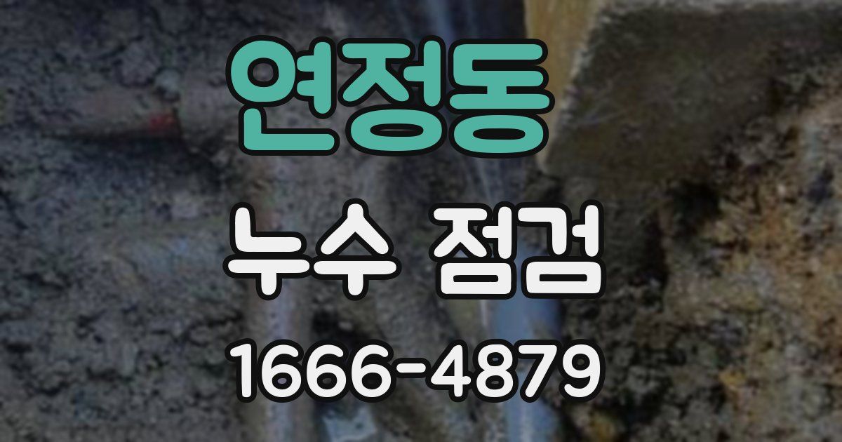 연정동 누수 점검