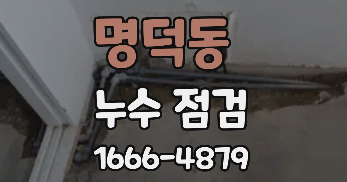 명덕동 누수 점검