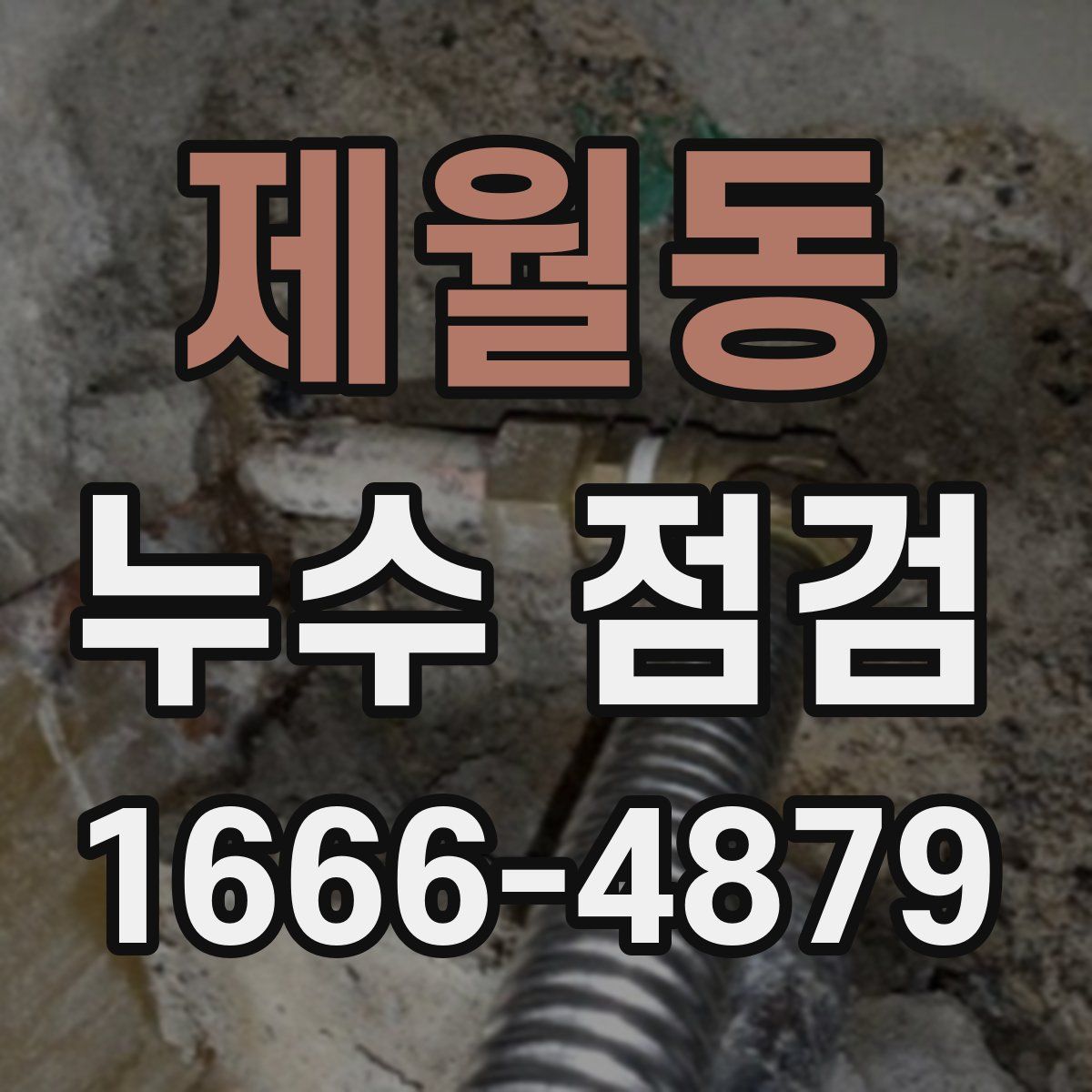 제월동 누수 점검