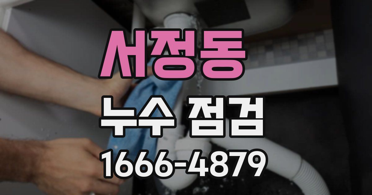 서정동 누수 점검