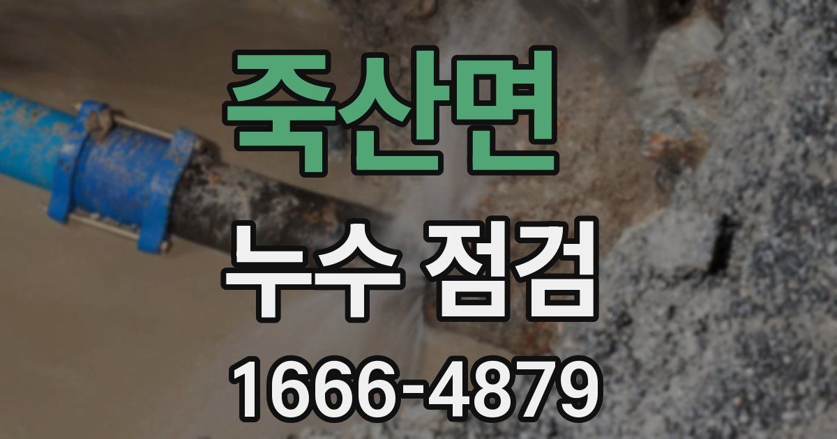 죽산면 누수 점검