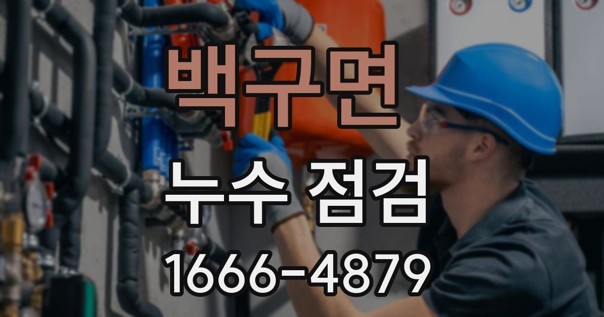 백구면 누수 점검
