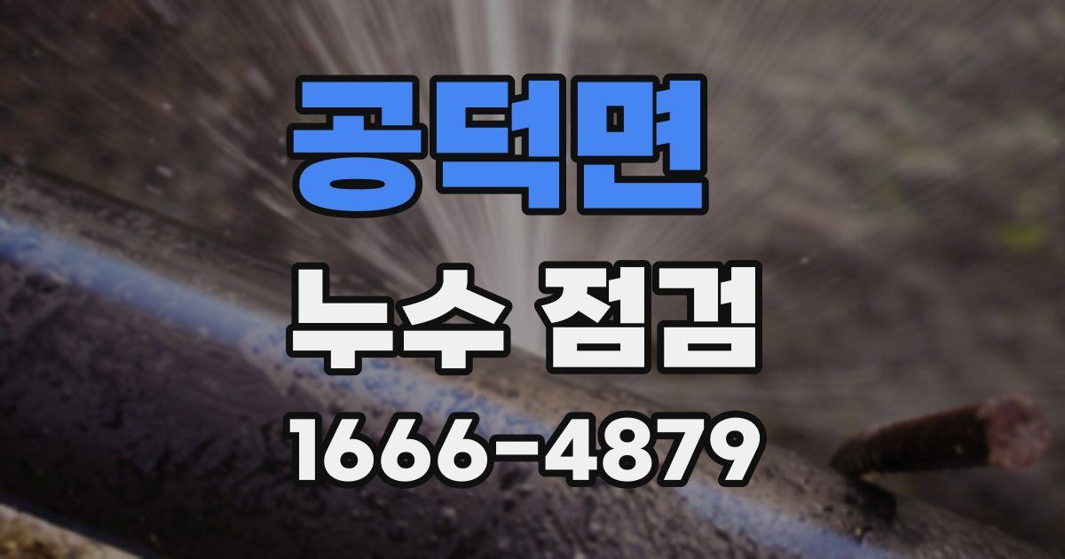 공덕면 누수 점검