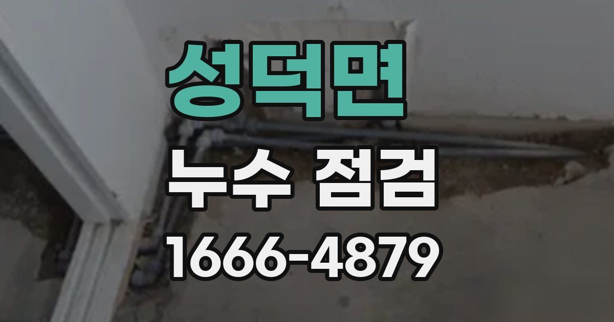성덕면 누수 점검