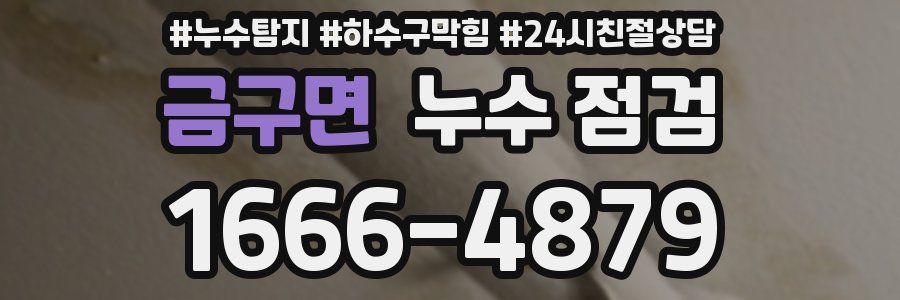 금구면 누수 점검
